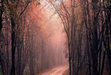 九游:姚明一家三口现身!14岁女儿盛装出席,身高比妈妈高,超过1米90.