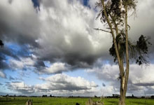 足球司机韩03-20.