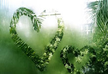 恰尔汗奥卢：目标随国米赢得意甲和欧冠冠军，为了球迷才没去拜仁.